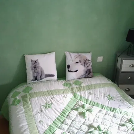 Le Lion D'or 酒店 Avrillé