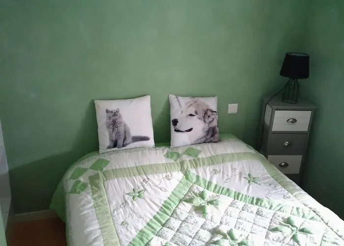 Le Lion D'or Hotel Avrille (Vendee)